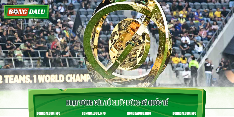 Hoạt động của tổ chức bóng đá quốc tế